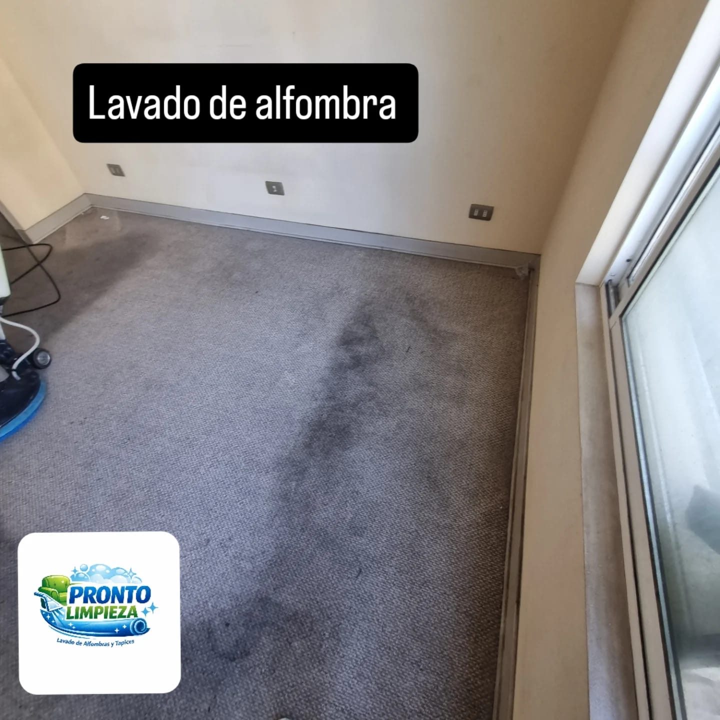 Lavado profesional de alfombras