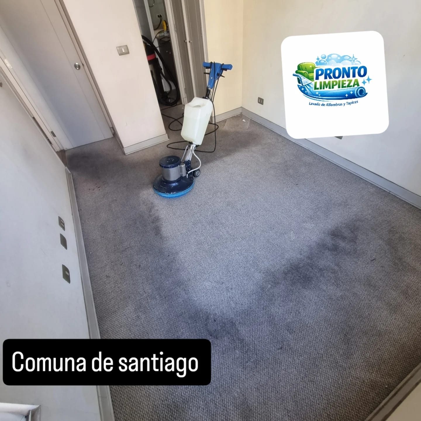 Lavado de alfombras