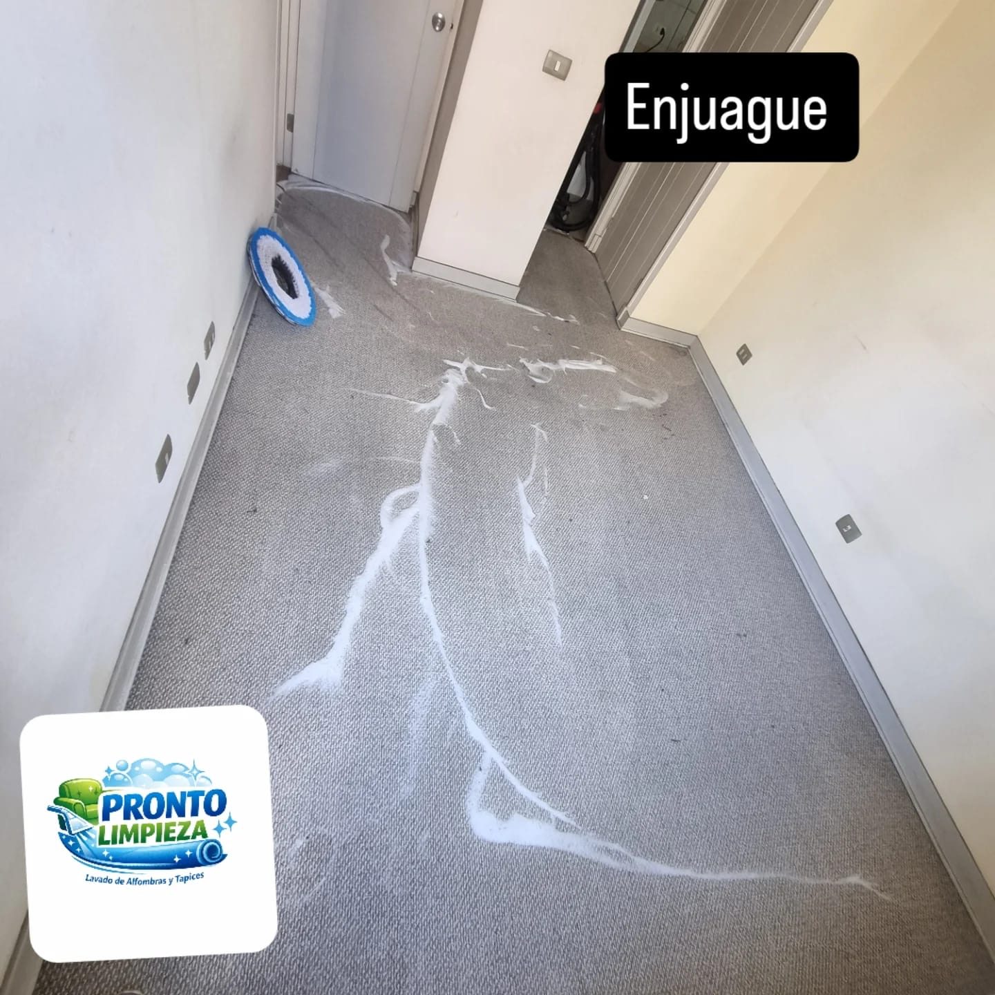 Alfombra limpia